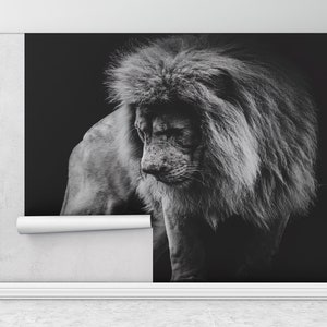 Paper Wall Art ,Modern Wall Paper,Portrait of a African Lion Wall Painting,Wall Paper Peel and Stick,Lion Wall Painting,