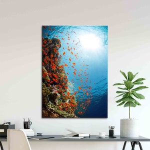 Underwater Shot, Fishes Wall Decor, Sea Landscape Art, Animal Artwork, Fish Printed, Underwater Shot Art Canvas, Animalistic Art Canvas,