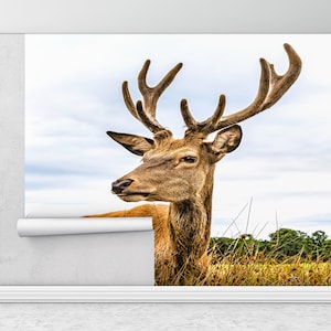 Arte della parete di carta, Carta da parati moderna, , Safari Wall Painting, Caribou Wallpaper, 3d Wall Paper, American Deer Wall Painting,