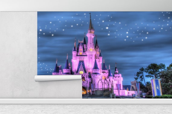 Wall mural Princesses and Disney Castle
