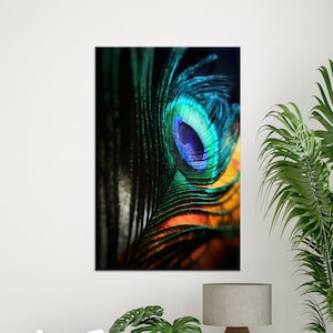 Gift for Him, Custom Wall Hanging, Peacock Feather Canvas Print, Gift for Her, Peacock Feather, Modern Wall Decor, Feather Art Canvas,