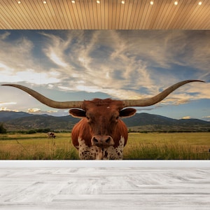 3D Printing Art, Cow Wall Stickers, Field Wallpaper, Longhorn Cow Wall Paper, Do It Yourself, Animal Wall Art, Gift For House,
