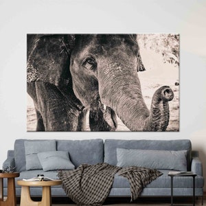 Elephant Photo Print, Old Elephant Printed, Elephant Printed, Elephant Lover Gift Wall Decor, Wildlife Elephant Art,