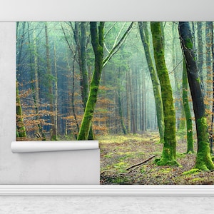 Papel pintado de paisaje, arte de pared de árboles, cartel de pared de bosque, pintura de pared de selva, mural de pared de paisaje de bosque, papel de pared de naturaleza,