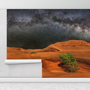 Weltraum Landschaft Wandbild, Kosmos Wandbild, Wandbild Kosmos, Nachtansicht Wandkunst, Sternenhimmel Wandbild, Baum Tapete,