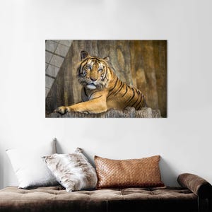 Animal Glass, Personalized Gift For Her, Wild Animal Glass Art, Tiger Glass Printing, Man Cave Glass Decor, Gifts,