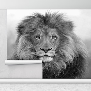 Stampa fotografica leone, Loft Wall Art, Poster da parete della fauna selvatica, Murale di animali selvatici, Poster da parete leone selvaggio, Decorazione da parete animale, Leone Wall Art,