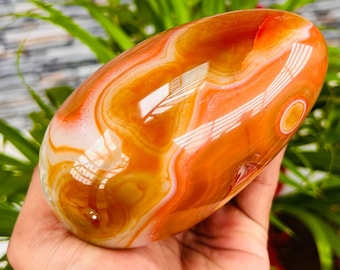 【カーネリアン】 エッグ ② CARNELIAN EGG カーネリアンの卵の宝石石天然AAA - Etsy 日本