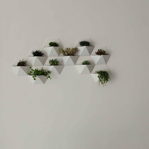 Wall planter set of 7, 3D printed, various colours available