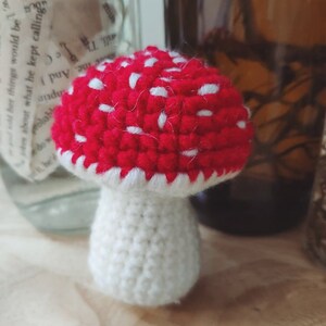 Crochet Amigurumi Mushroom Pattern, Crochet Mushroom, Mushroom Crochet Pattern, Amigurumi Mushroom, Easy Crochet Pattern, Crochet Amigurumi