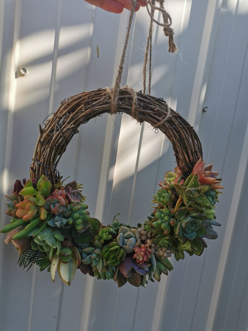 20cm colorful grapevine succulent wreath, Christmas wreath, love token, hostess gift, Valentine, House Warming, Mother's day image 5