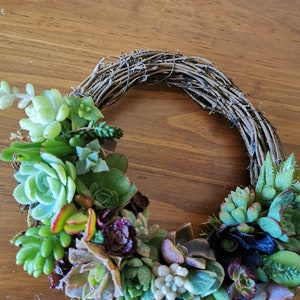 20cm colorful grapevine succulent wreath, Christmas wreath, love token, hostess gift, Valentine, House Warming, Mother's day image 3