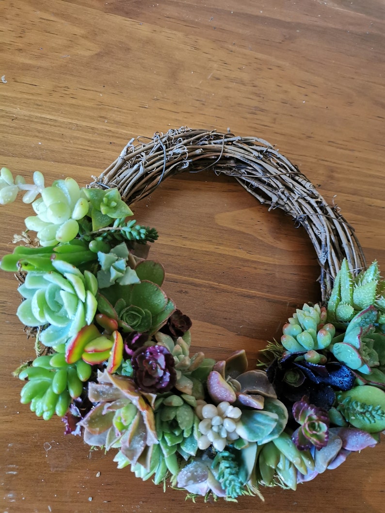 20cm colorful grapevine succulent wreath, Christmas wreath, love token, hostess gift, Valentine, House Warming, Mother's day image 3