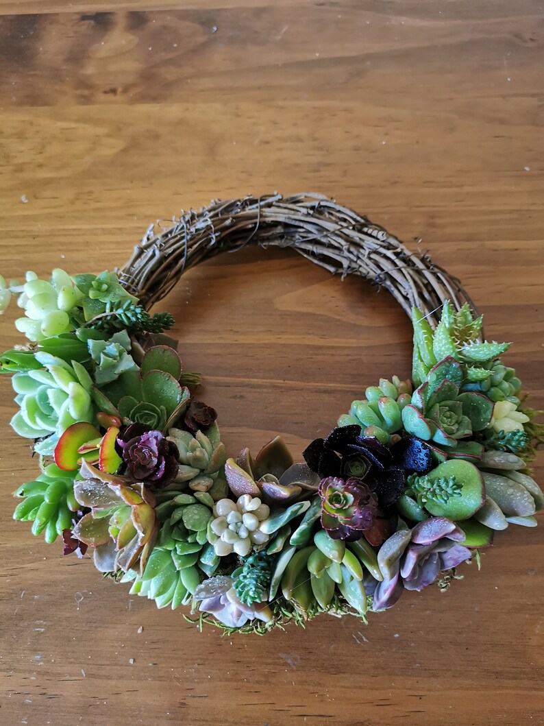 20cm colorful grapevine succulent wreath, Christmas wreath, love token, hostess gift, Valentine, House Warming, Mother's day image 4