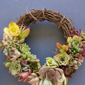 20cm colorful grapevine succulent wreath, Christmas wreath, love token, hostess gift, Valentine, House Warming, Mother's day image 6