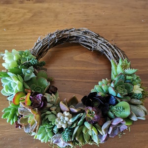 20cm colorful grapevine succulent wreath, Christmas wreath, love token, hostess gift, Valentine, House Warming, Mother's day image 2