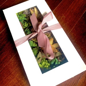 Paquete de 30 coloridos cortes de suculentas en una caja de regalo, arreglo suculento de bricolaje, 25 variedades imagen 8