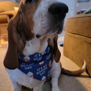 Blue Gotcha Day Reversible Collar Bandana