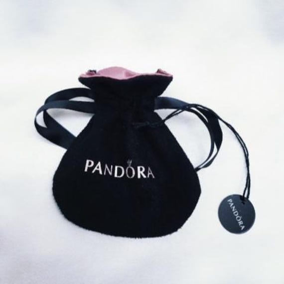 Pandora French Bulldog Charm Dog French Bulldog Puppy Pendant View 4