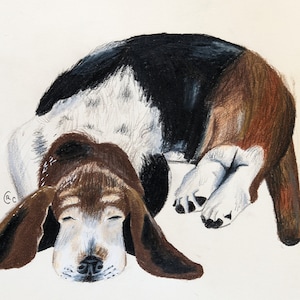 Custom Pet Portrait (Full body)