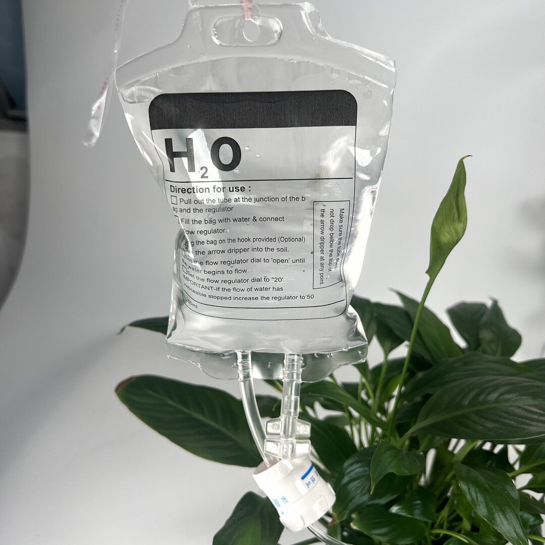 Plants Medical Drip Plants Infusion Plant Decoration Plant Etsy