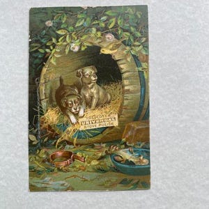 Vintage bunte viktorianische Handelskarte Hundewelpen PRESCOTT UNIVERSAL Ofen-polnische Öfen Berwick Maine
