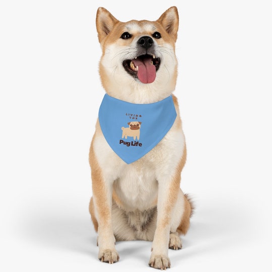 Disover Pet Bandana Collar