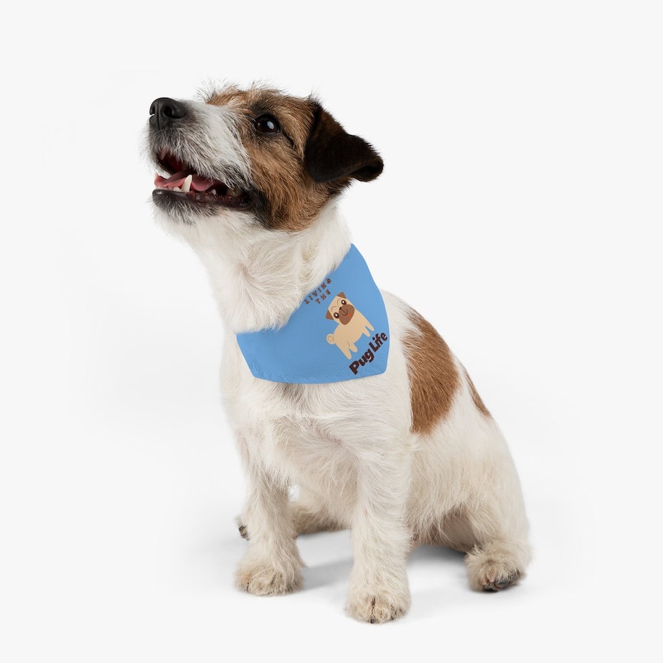 Discover Pet Bandana Collar