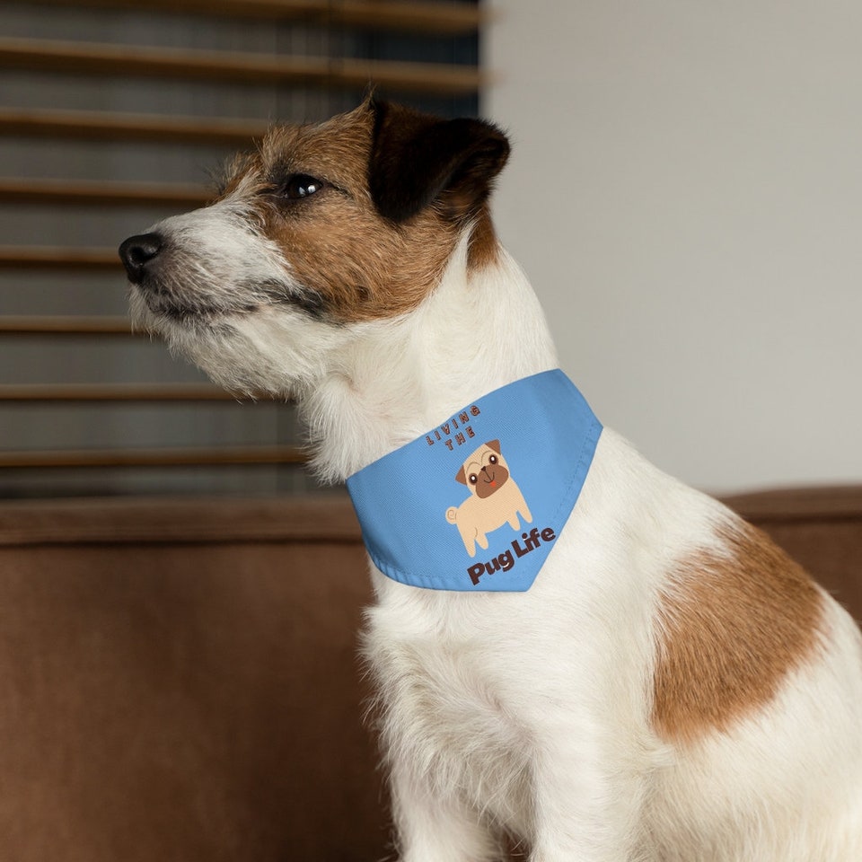 Discover Pet Bandana Collar