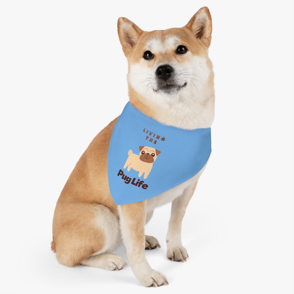 Discover Pet Bandana Collar