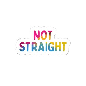 Not Straight Pan Pride Die-Cut Stickers Pansexual LGBTQ Pride Month