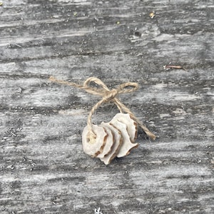 Handmade Deer Antler Buttons: Polished Rustic Style, Set of 5