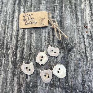 Set of five handmade sanded and polished deer antler buttons