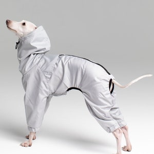 Silver Raincoat for Italian Greyhound