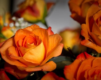 Stralende bloemen: een symfonie in oranje rozen - digitale fotografieprint