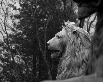 Tour des Gardiens de la mémoire : deux lions majestueux. Parc Sir Sandford Fleming, Halifax (Nouvelle-Écosse)