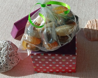 Polished Oregon Agates and  Rocks  in gift box!