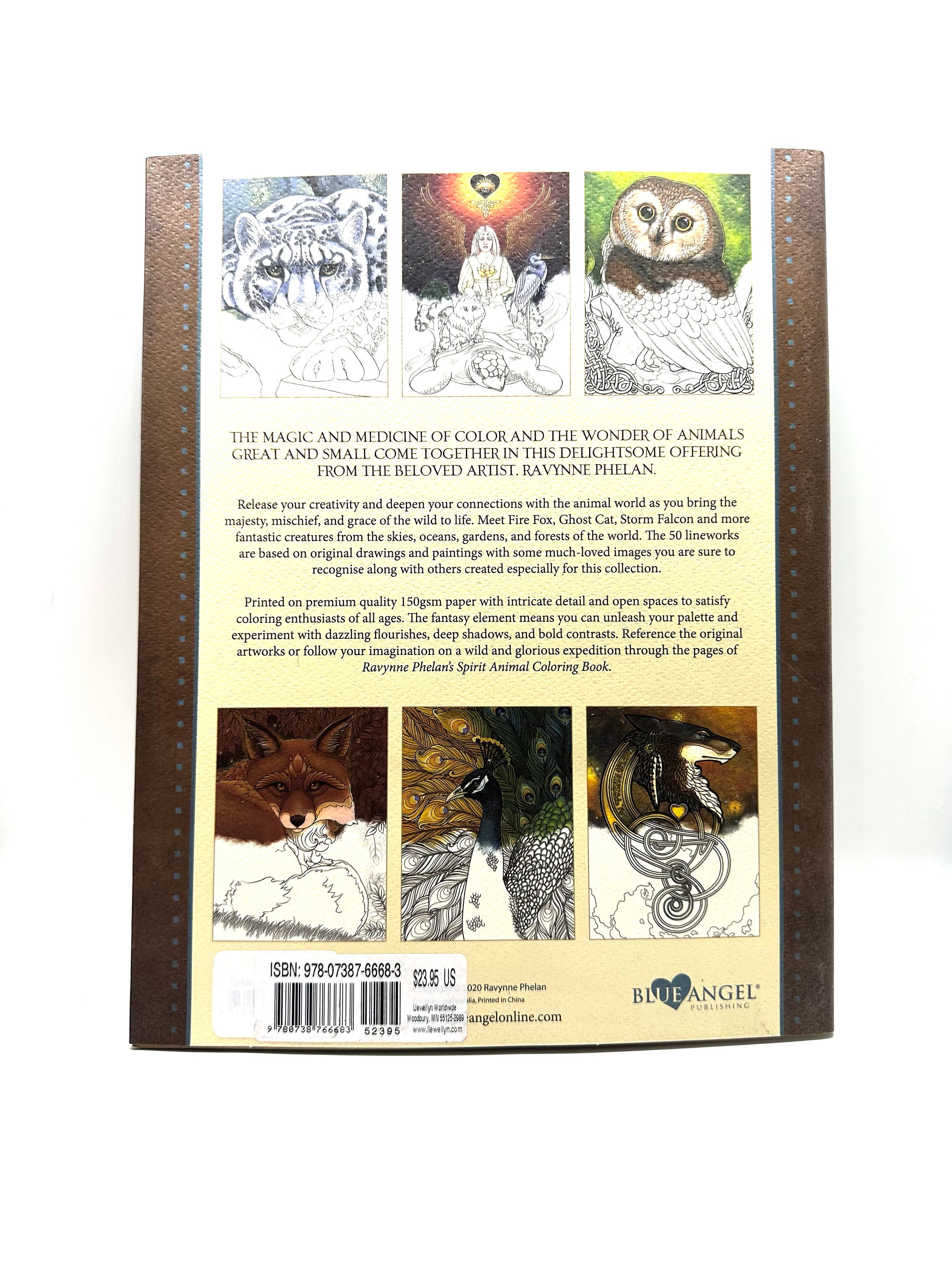 Phelan Falcon Calendar 2024 Celka Darlene