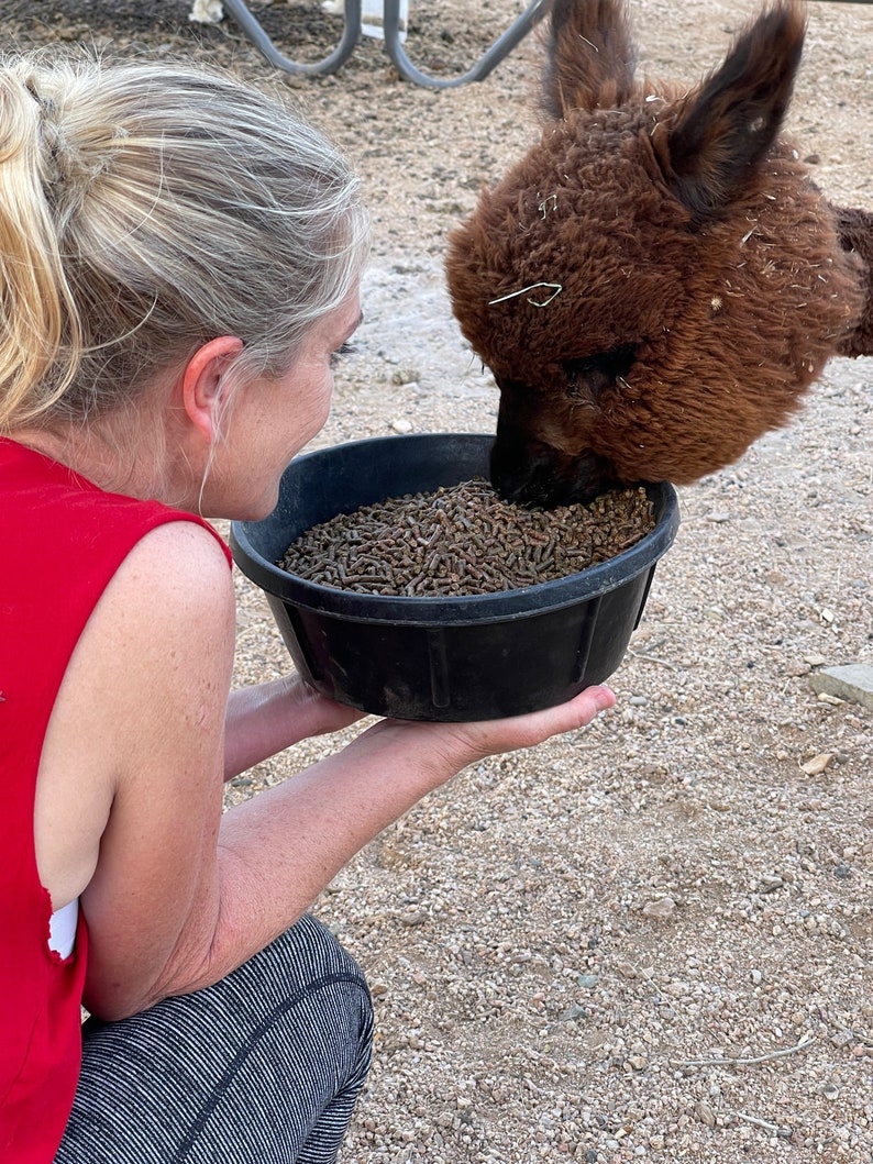 100 All Natural Alpaca Poop Best Fertilizer There Is Alpaca Beans