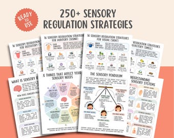 Sensory Regulation Strategies, Sensory Processing, Sensory Overload, Sensory Seeking, Autism Support, Emotional Regulation, ADHD, Calm Down