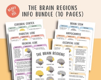 The Brain Regions Info Sheets Neuroscience for Mental Health Professionals Therapists & Counselor Psychoeducation Neuropsychology Worksheets
