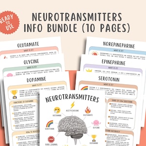 May include: A set of 10 educational pages labelled "Neurotransmitters Info Bundle." The pages provide information on neurotransmitters such as Glutamate, Glycine, Dopamine, Norepinephrine, Epinephrine, and Serotonin, with diagrams and text.