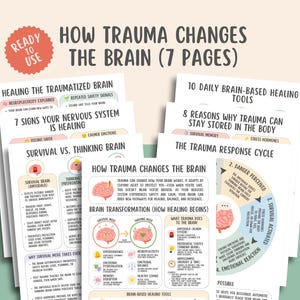 Hur trauma förändrar hjärnan, traumaåterhämtning, PTSD-utbildning, läkning av nervsystemet, neuroplasticitet, hjärnomkoppling, polyvagal teori