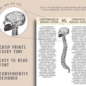 Polyvagal Theory Cheatsheet Worksheets, Nervous System Regulating, Somatic Therapy, Vagal Nerve Therapy Vagus nerve stimulation PTSD Therapy