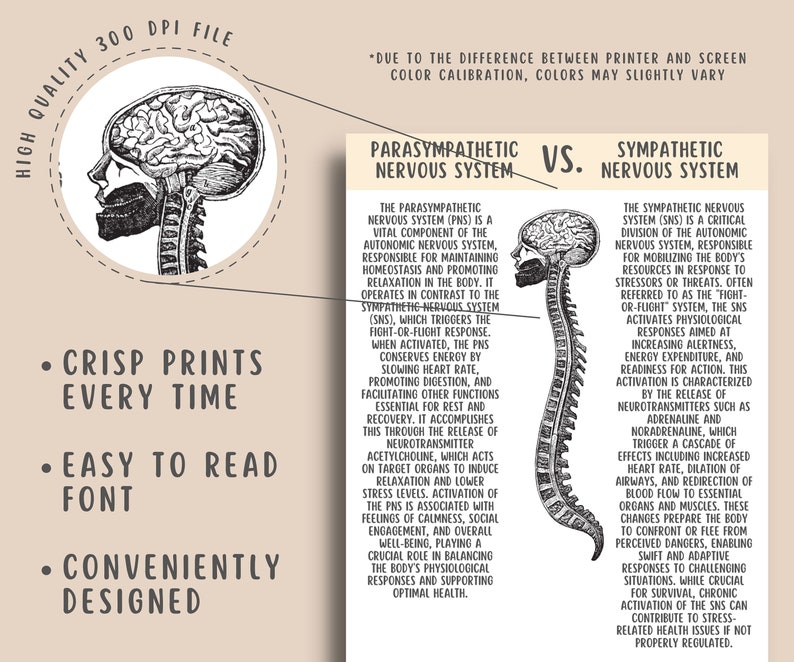 Polyvagal Theory Cheatsheet Worksheets, Nervous System Regulating, Somatic Therapy, Vagal Nerve Therapy Vagus nerve stimulation PTSD Therapy