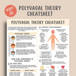 Peut inclure: Une fiche de triche sur la théorie polyvagale de couleur crème, avec des schémas et du texte expliquant le système nerveux et ses réponses au stress. Comprend un autocollant "Prêt à l'emploi".