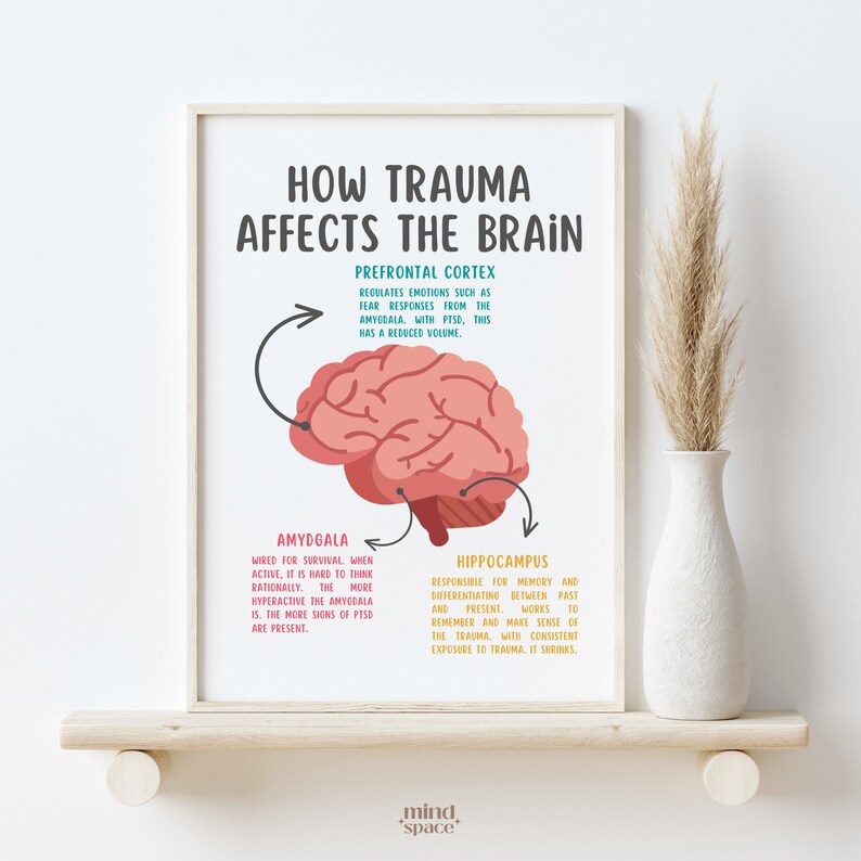 How Trauma Affects the Brain PTSD Poster the Brain Printable - Etsy