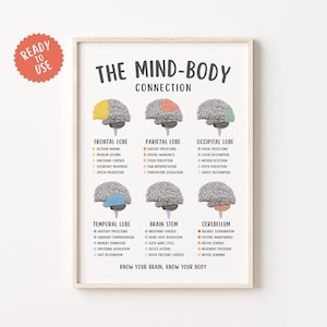 Op de afbeelding: Een ingelijste educatieve poster getiteld "The Mind-Body Connection" met illustraties van hersenkwabben en hun functies. De poster bevat tekst zoals "Frontal Lobe" en "Know Your Brain, Know Your Body". Een rode sticker linksboven leest "Ready to Use".
