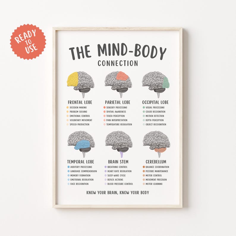 Mind Body Connection Poster, Mental Health Wall Art, Therapy Office Decor, Psychology Print, Emotional Wellness Chart, Counseling Tool PDF