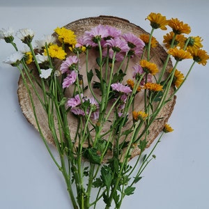 GIFT flower seeds/meadow flowers test tube give away guest gift image 9